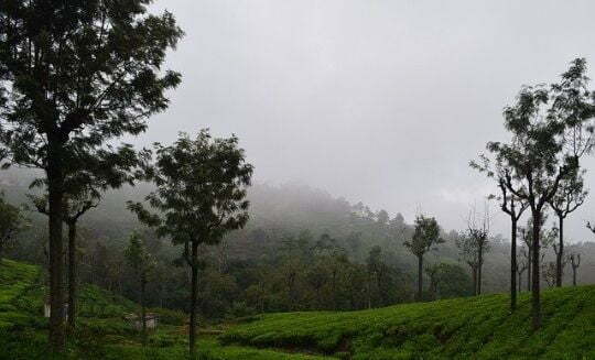 Best Places to Visit in South India
