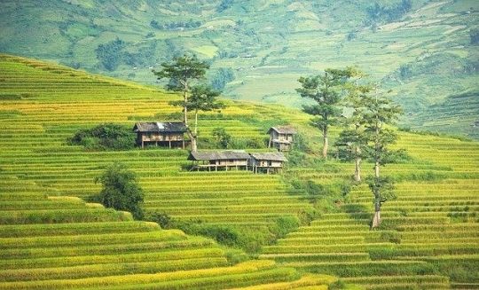 Best Places to Visit in Arunachal Pradesh