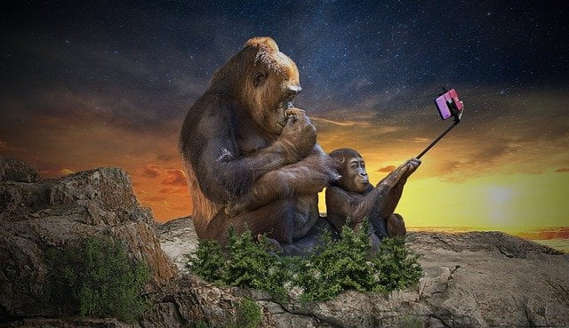 Top 7 Best Selfie Stick For Travel