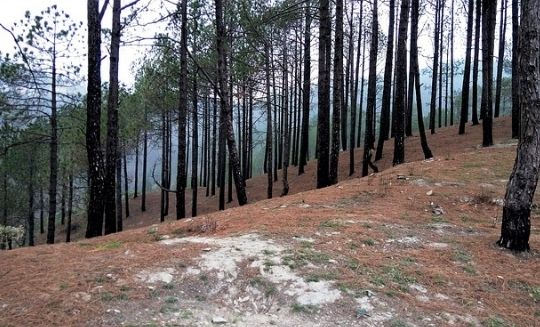 Best place to visit in Uttarakhand