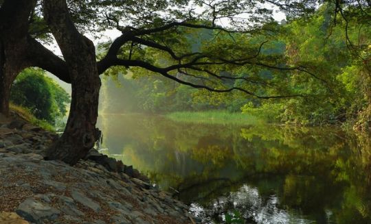Best Places to Visit in Mizoram