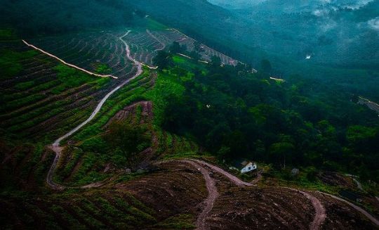 Places to See in Kerala India