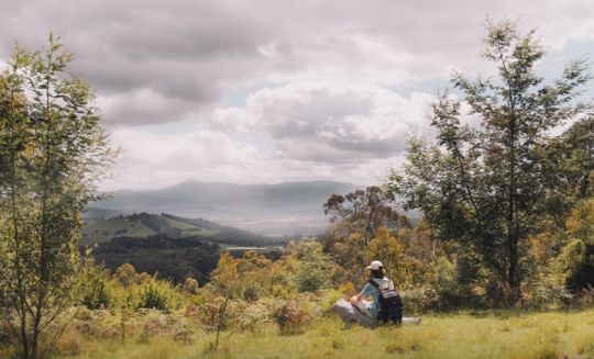 Best Places to Visit in Mizoram