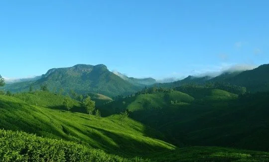 Places to See in Kerala India
