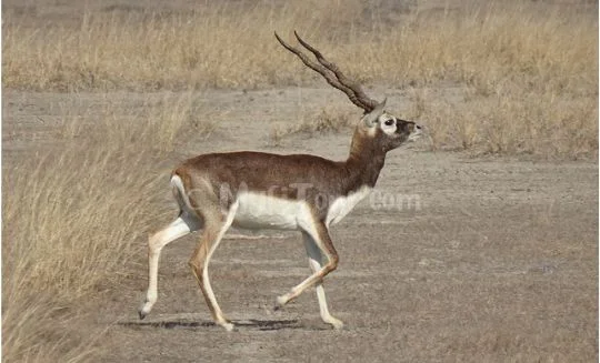 Places to See in Punjab India