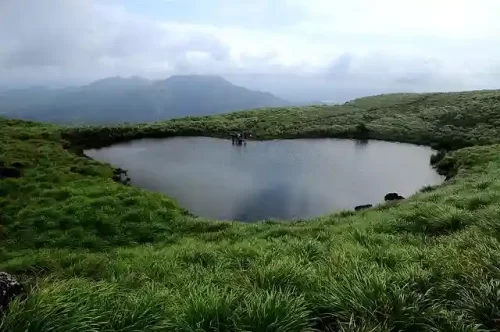 Must Visit Places in Wayanad