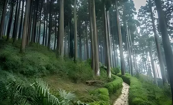 11 Offbeat Tourist Places Near Darjeeling