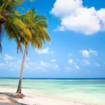 Best Island in Lakshadweep for Honeymoon