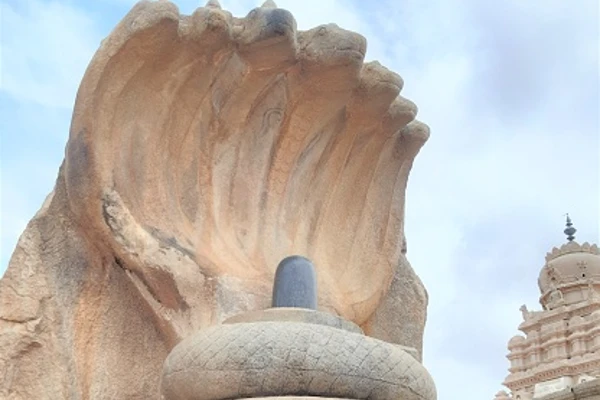 Seeing Black Shivling in a Dream
