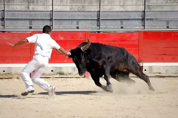 Black Bull Attacking in Dream Meaning