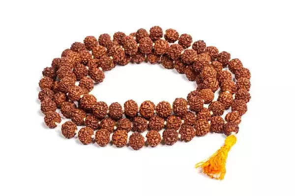 Seeing Rudraksha in Dream