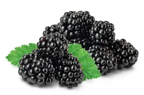 Are Blackberries Good for Losing Weight?